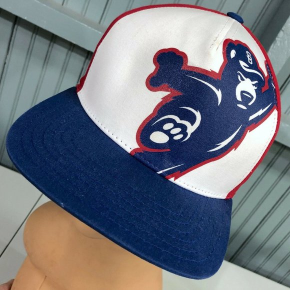 American Needle Other - South Bend Cubs American Needle Ball Cap MILB
